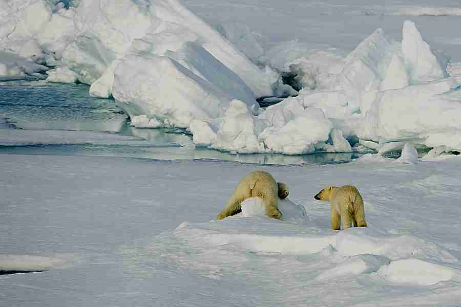 河北建材职业技术学院校花郝云溪